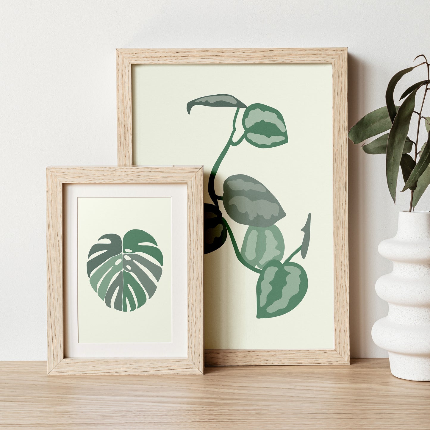 Scindapsus Leafs