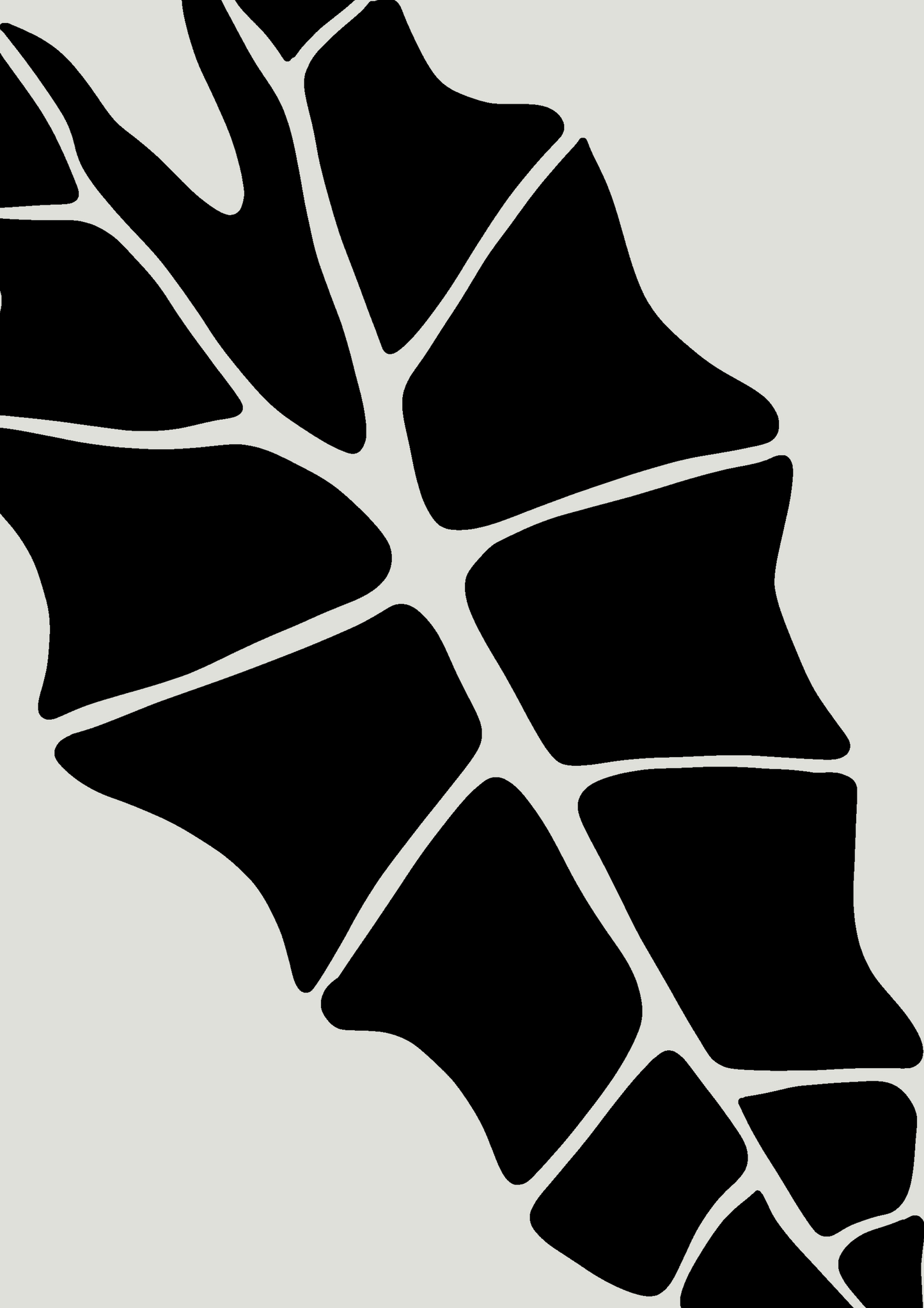 Alocasia Abstract