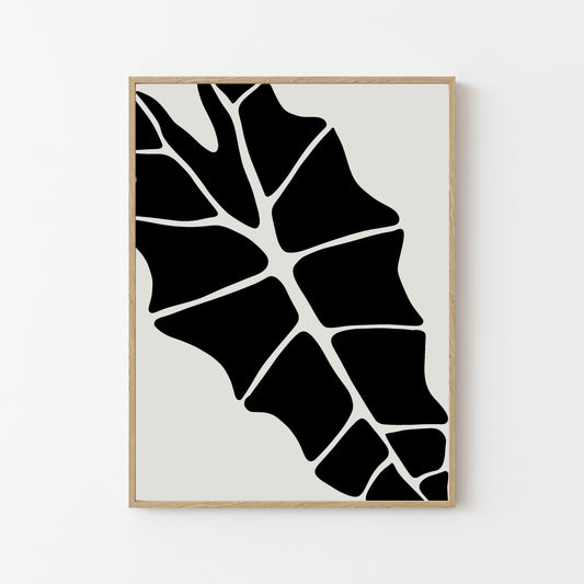Alocasia Abstract