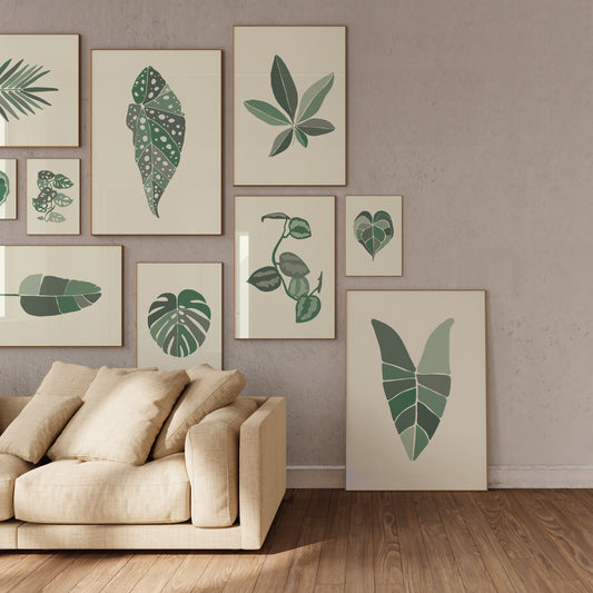 Alocasia Leaf