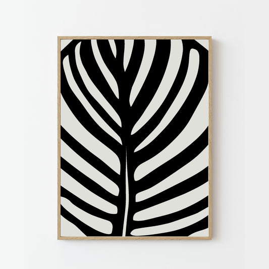 Calathea Abstract