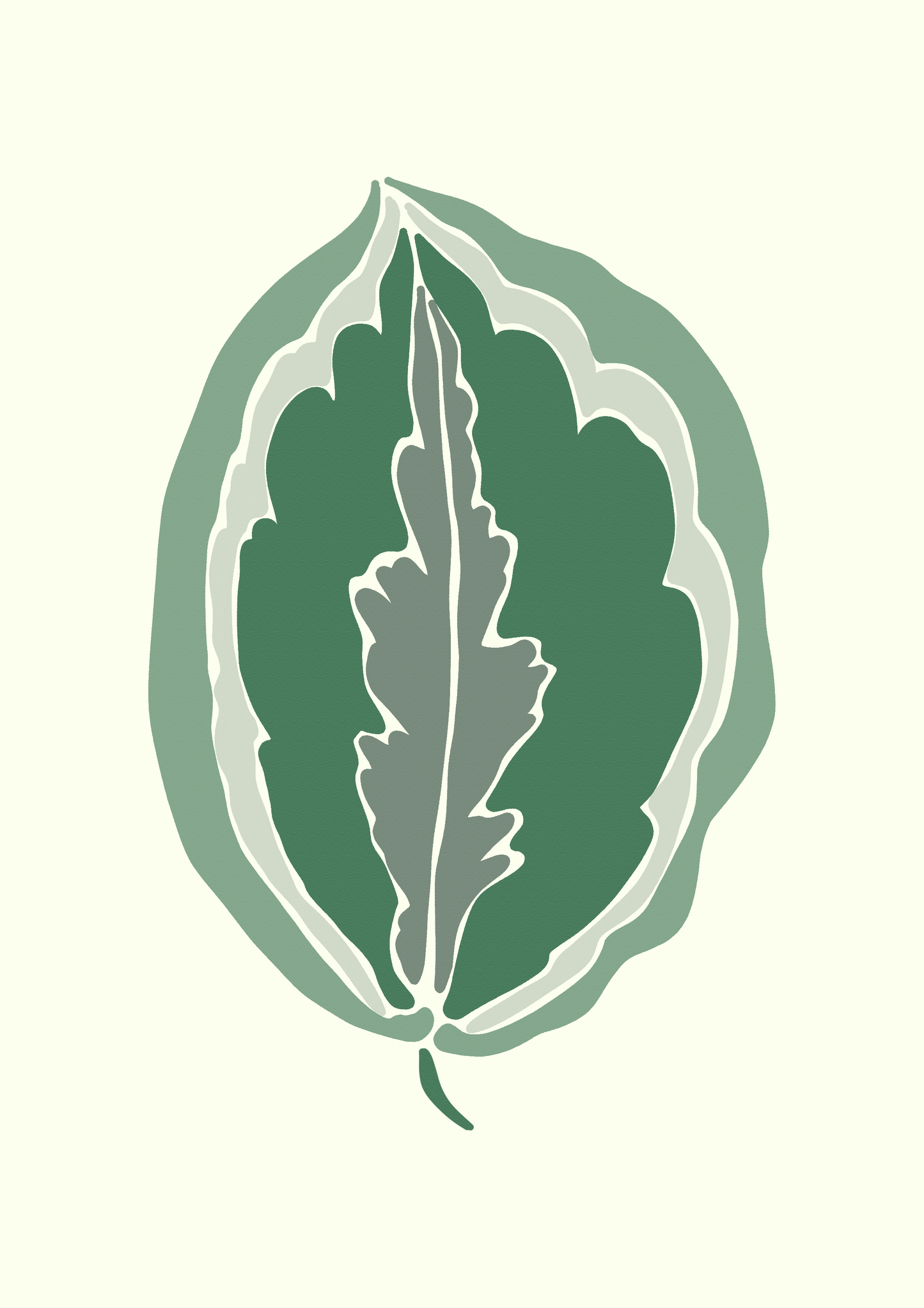 Calathea Leaf