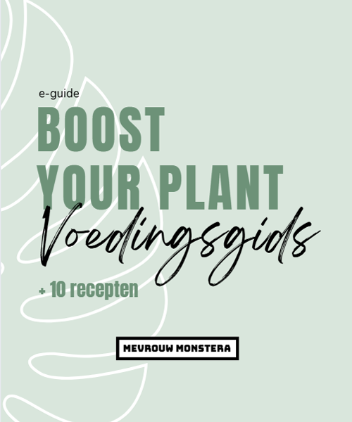 E-book Boost your plant Voedingsgids