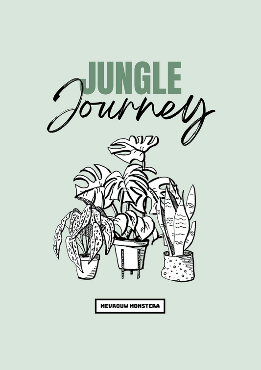 Jungle Journey