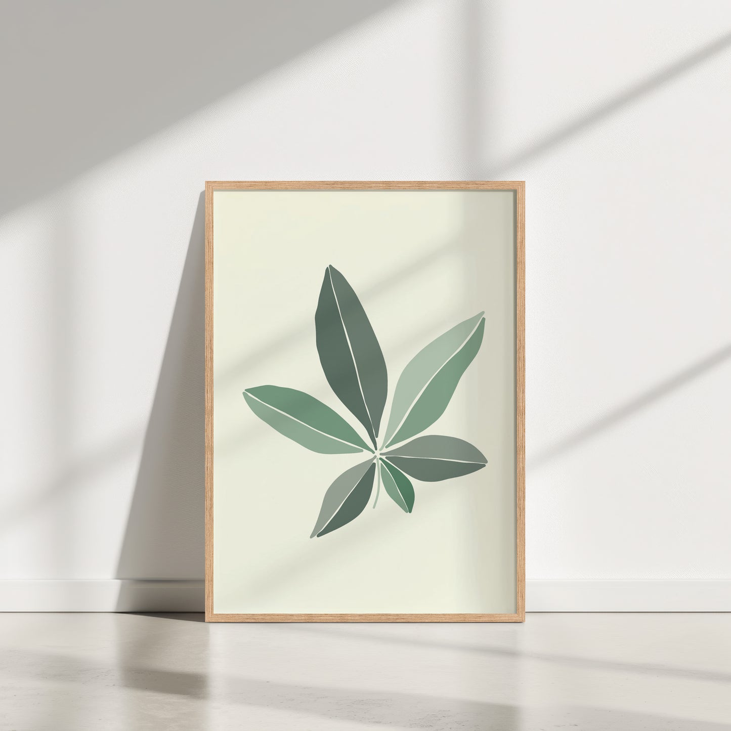 Pachira Leaf