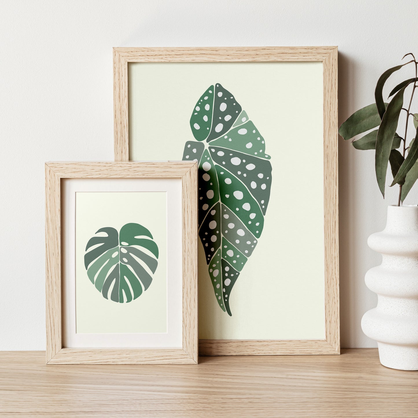 Begonia Leaf