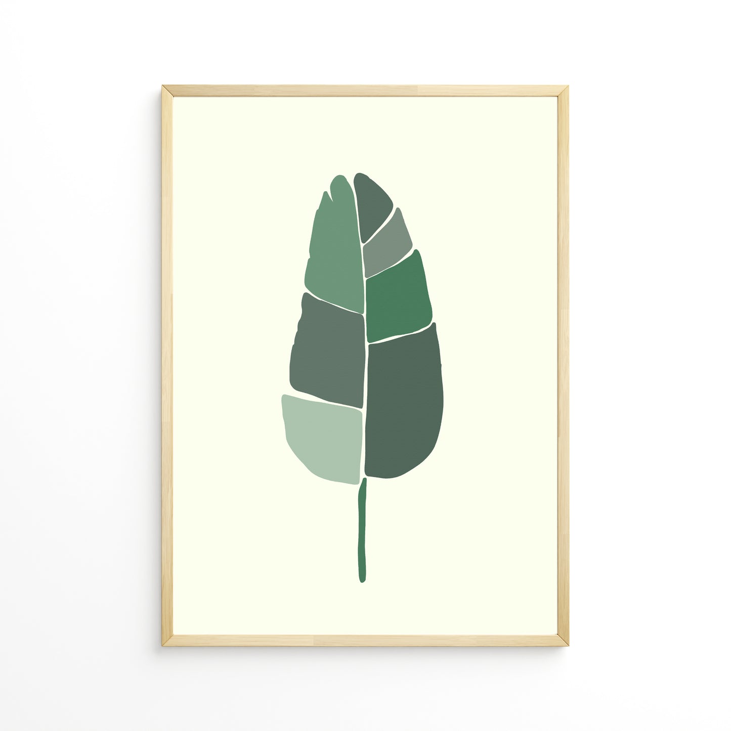 Strelitzia Leaf