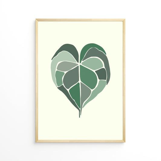 Anthurium Leaf