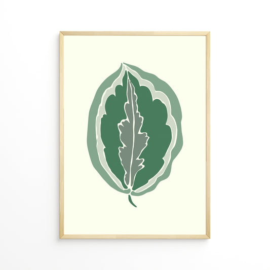 Calathea Leaf