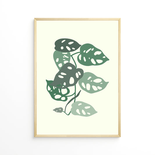 Monstera monkey mask Leafs