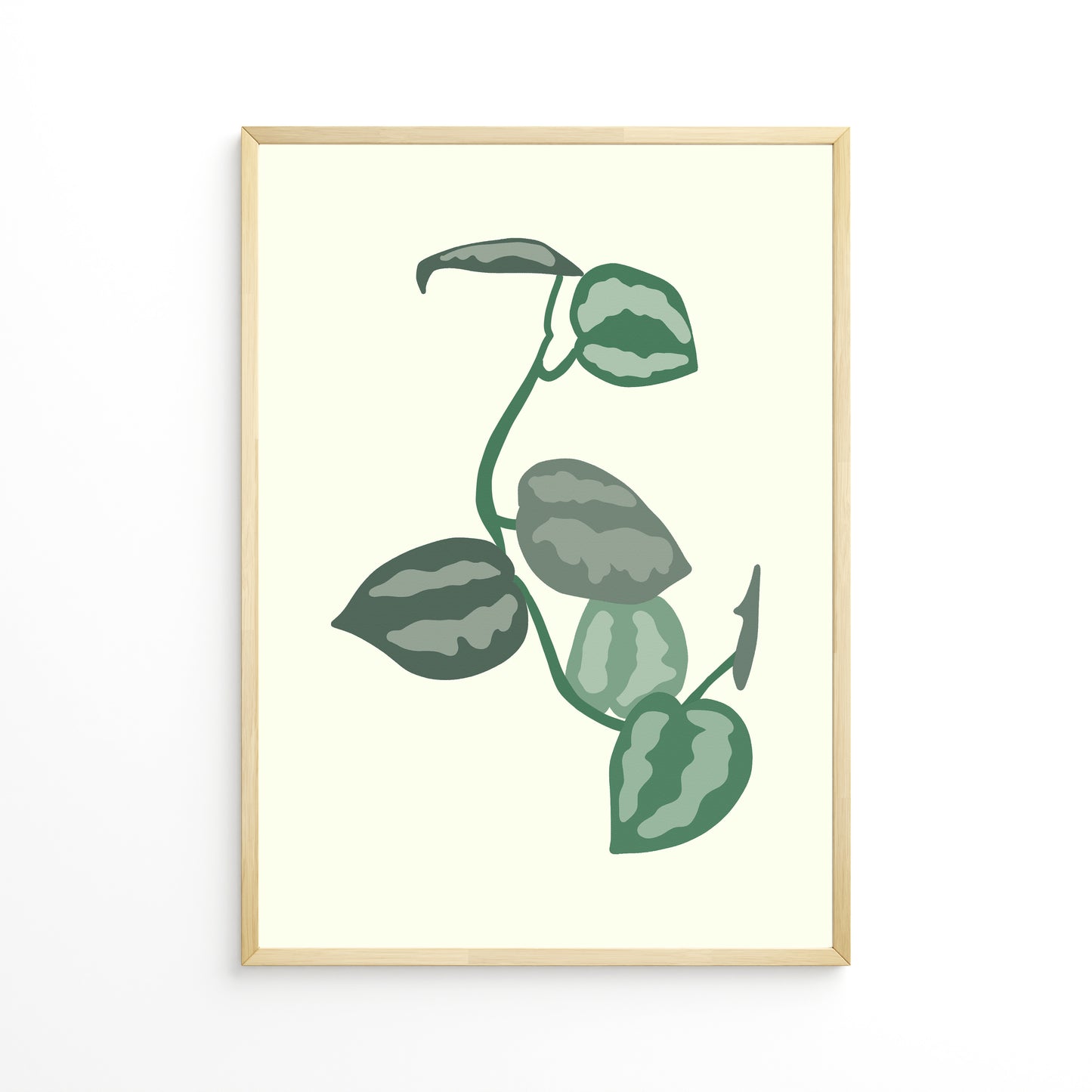 Scindapsus Leafs