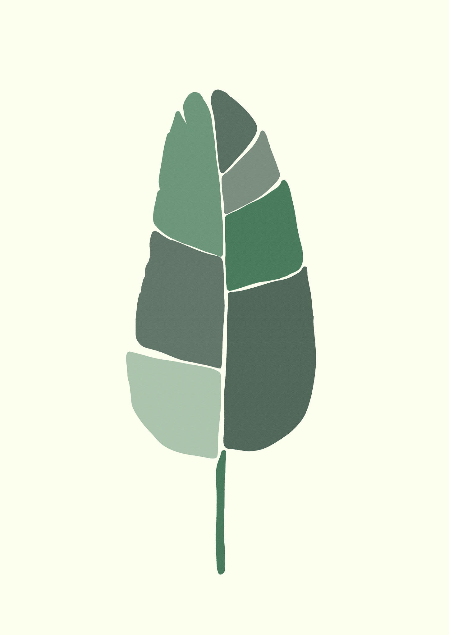Strelitzia Leaf