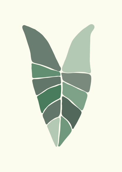 Alocasia Leaf