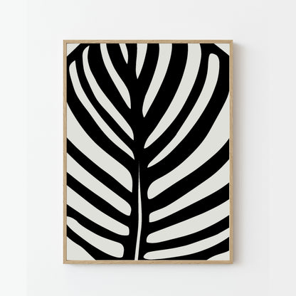 Calathea Abstract