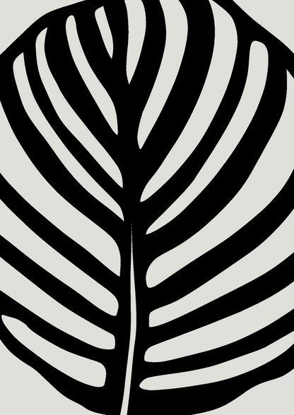 Calathea Abstract