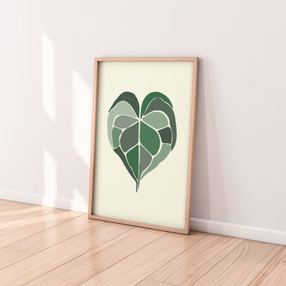 Anthurium Leaf