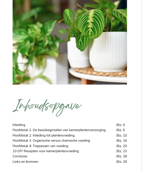 E-book Boost your plant Voedingsgids