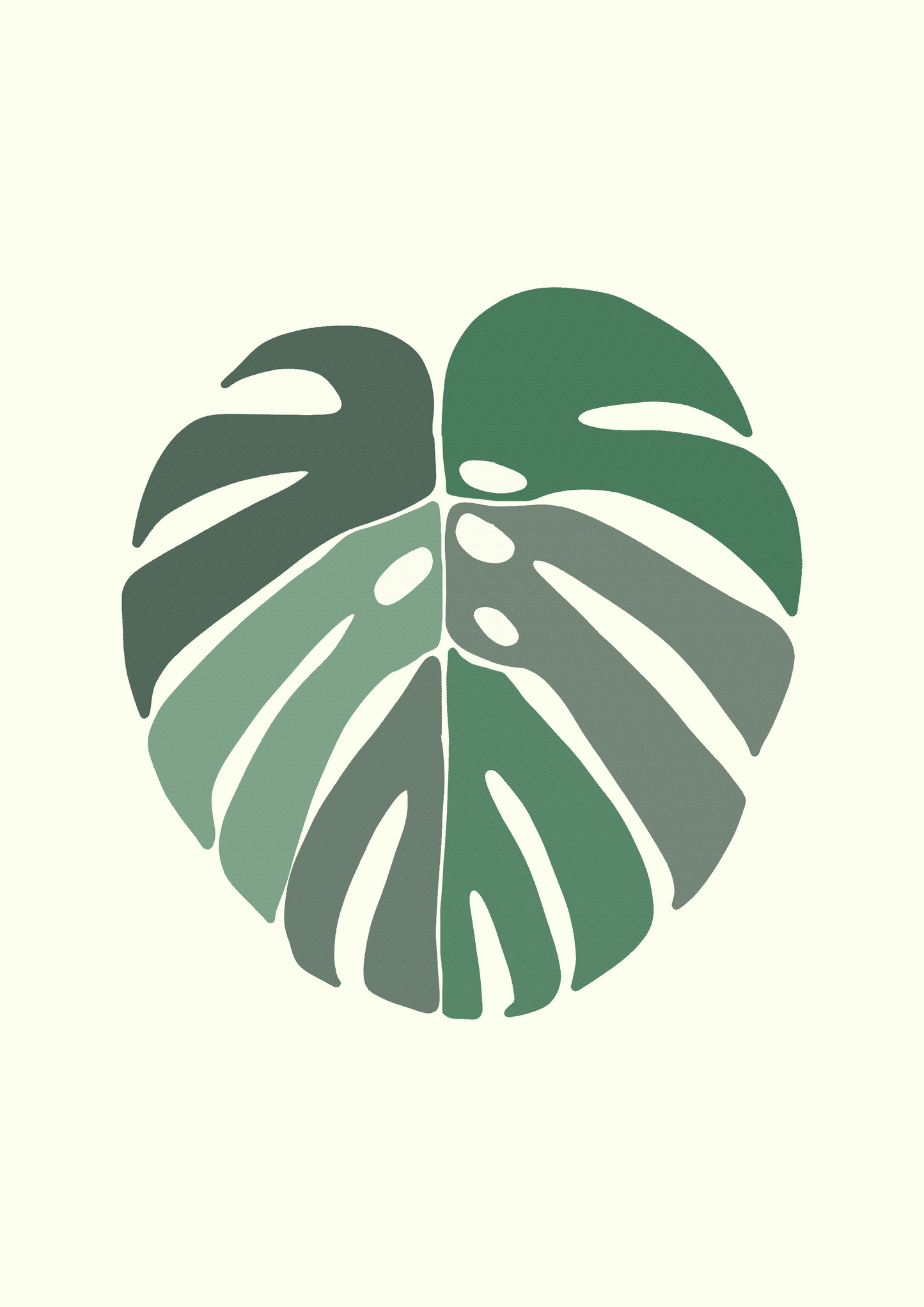 Monstera Leaf