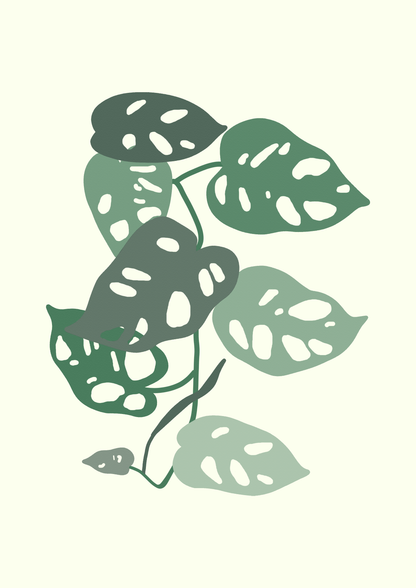 Monstera monkey mask Leafs