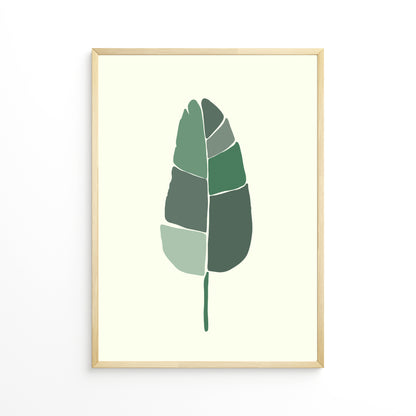 Strelitzia Leaf