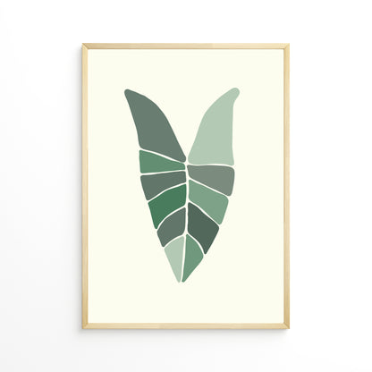 Alocasia Leaf