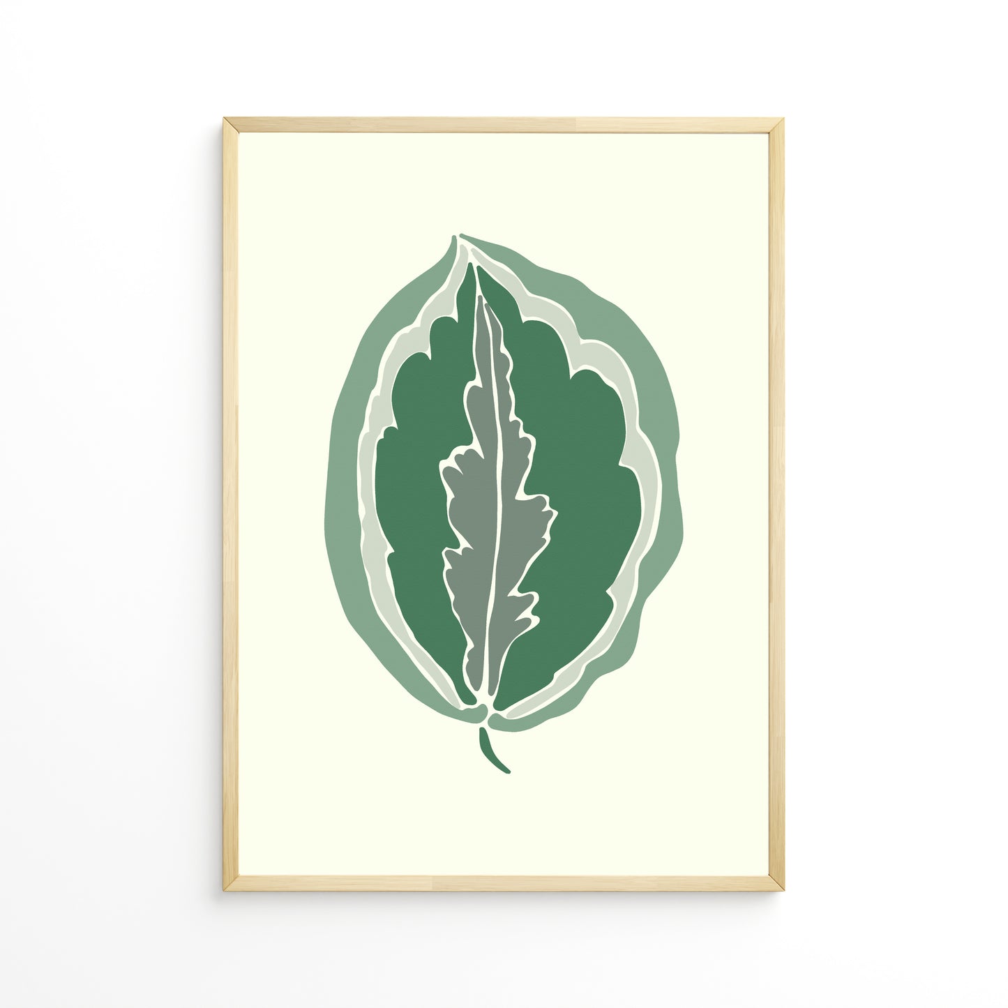 Calathea Leaf