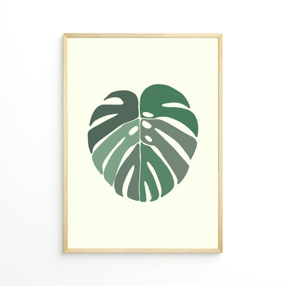 Monstera Leaf